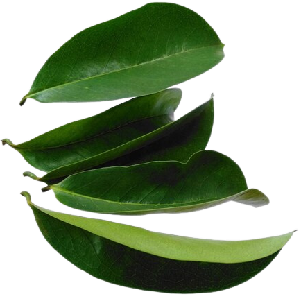 Karan Zuurzak Bladeren 50g
